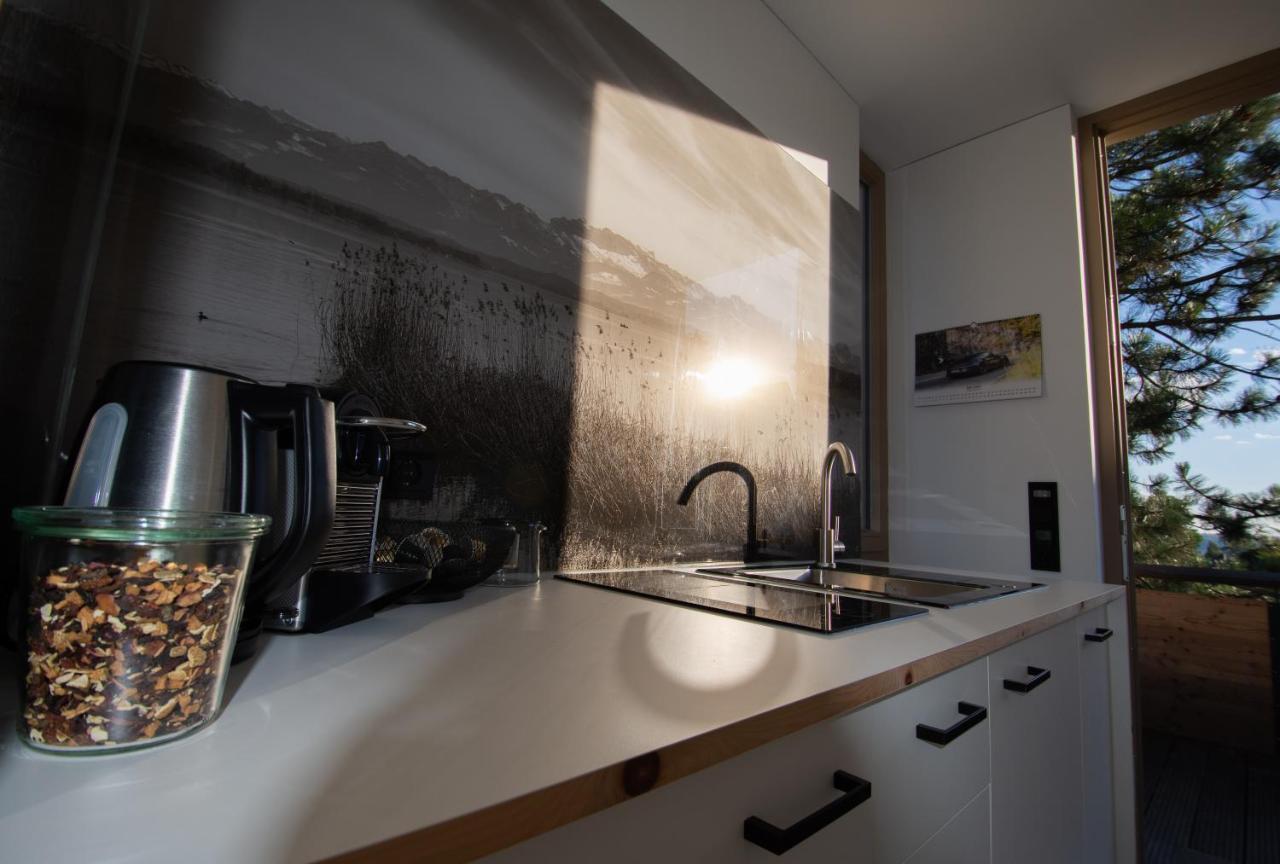 Appartement Traumblick Weinböhla Екстериор снимка